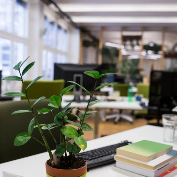  employee friendly interior designing